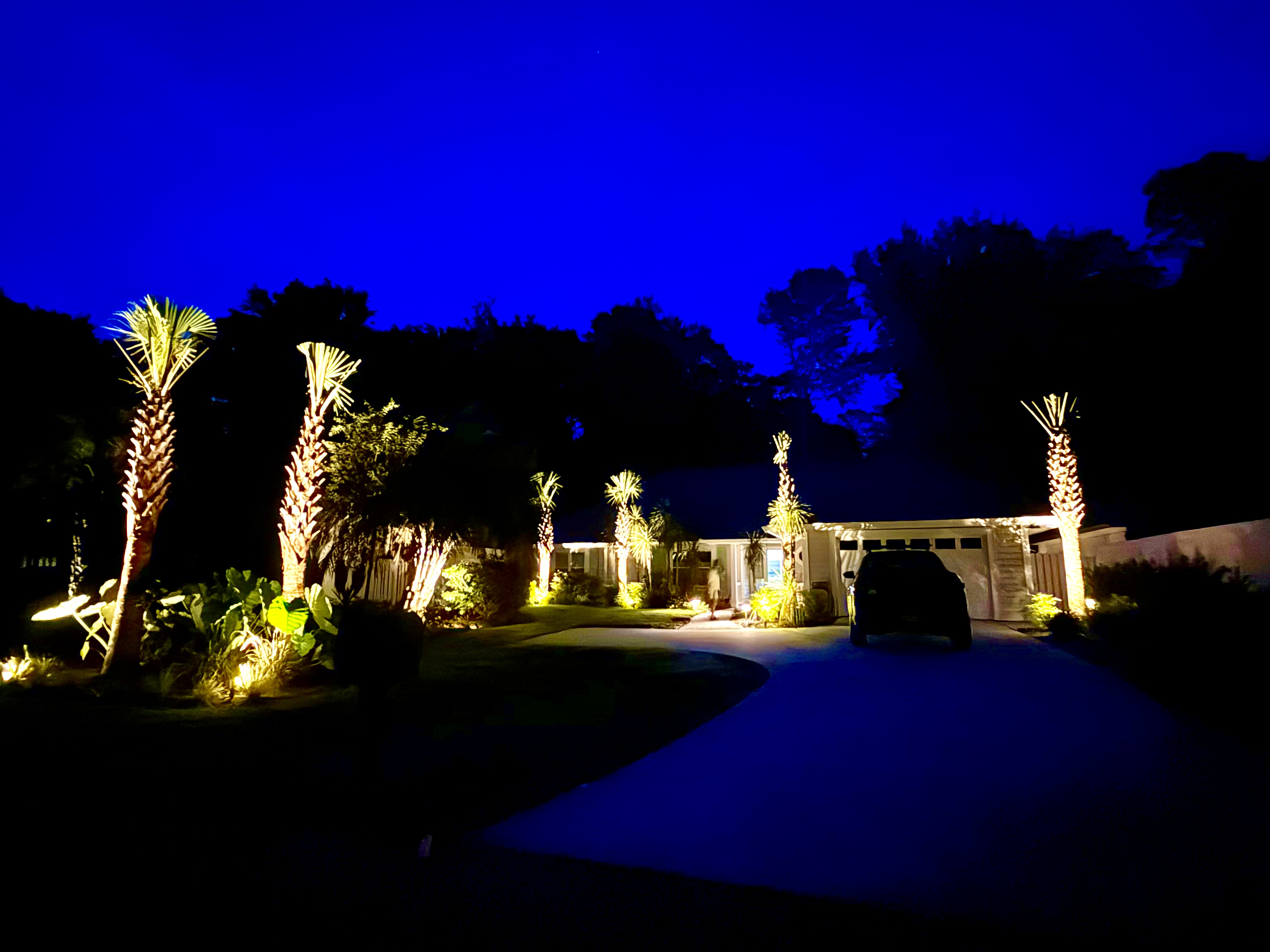 Low voltage landscape lighting Hilton Head Island palm trees at night